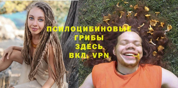 spice Богородск