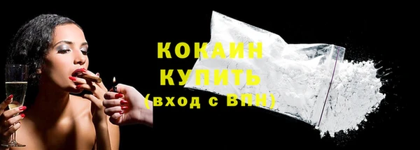 spice Богородск