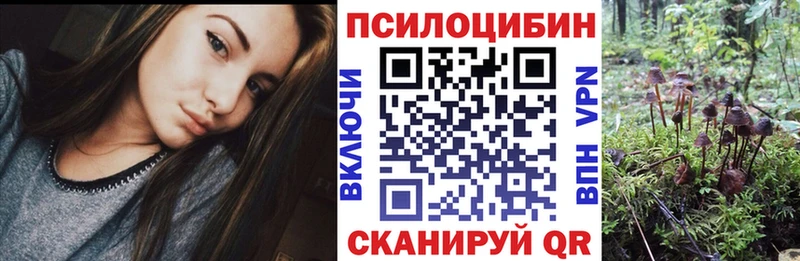 купить наркотики сайты  Бородино  Псилоцибиновые грибы Psilocybine cubensis 