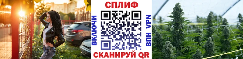 Бошки Шишки индика Бородино